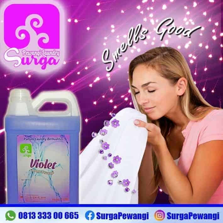 parfum laundry aroma violet - Aroma Parfum Laundry Terlaris