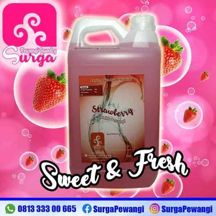 pewangi laundry stawberry - Aroma Parfum Laundry Terlaris